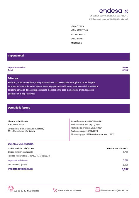 download download Spain Barcelona endesa X electricity  utility bill Word and PDF formats PDF template PDF template